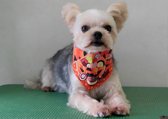 岡元ベリーちゃん