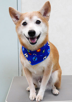 有馬コタロウちゃん