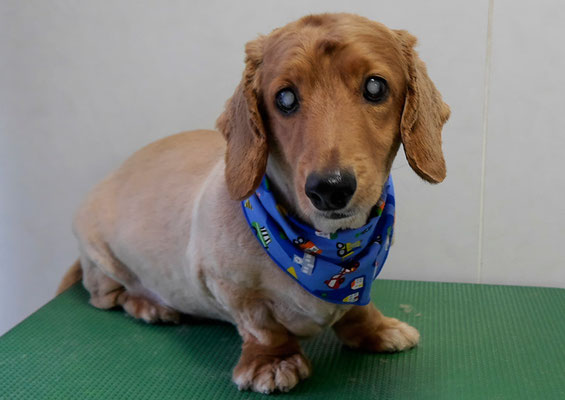 上野モンタちゃん