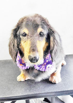 田中ロンちゃん