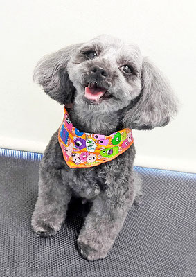 森崎ラブちゃん