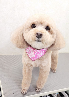 富永モカちゃん