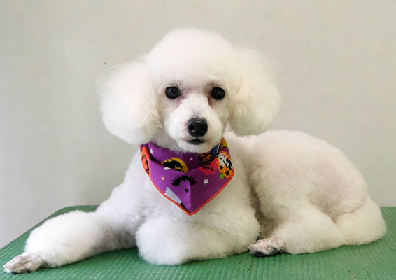 梶原ハッピーちゃん