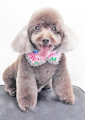 山口クレアちゃん