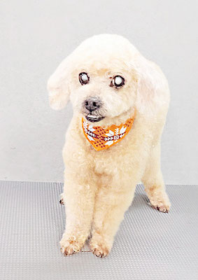 梅橋まるちゃん