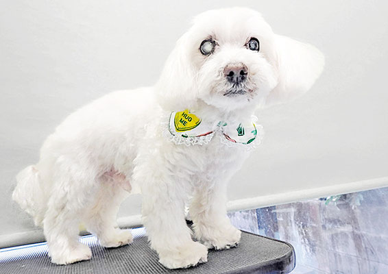 山口ふうたちゃん