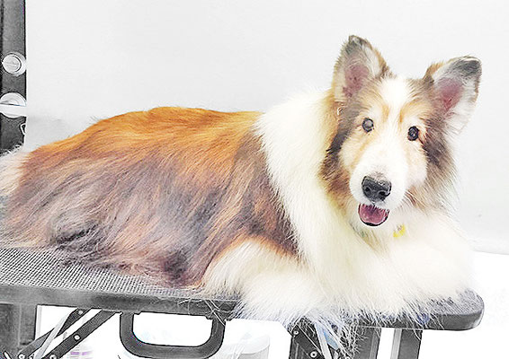 前野レオンちゃん