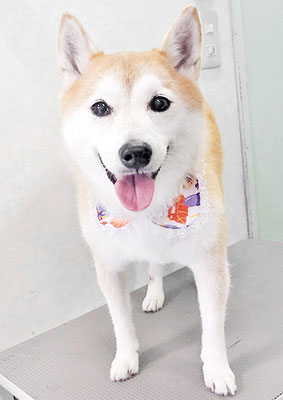 小村ゆずちゃん