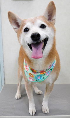 有馬コタロウちゃん