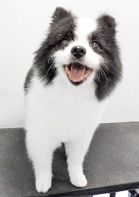 八木マリアンちゃん