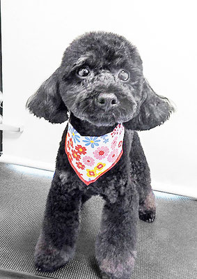 野口サニーちゃん