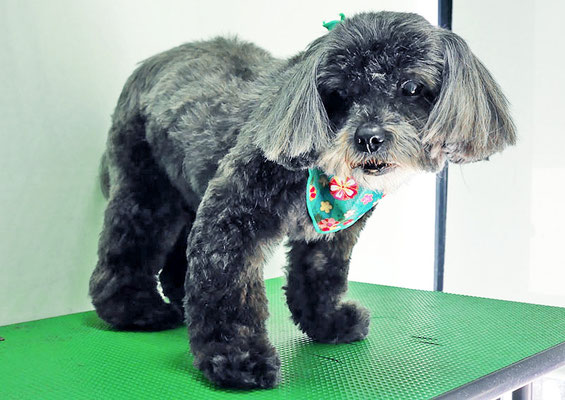 八郷ベンちゃん