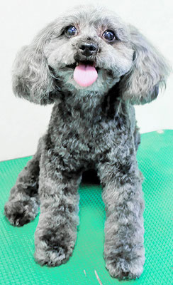 森崎ラブちゃん