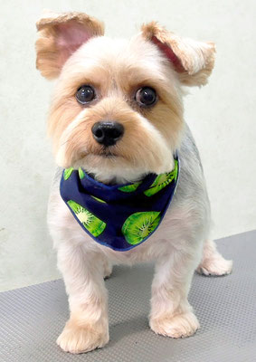 山下レオちゃん