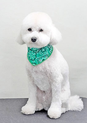 山小田アンディちゃん