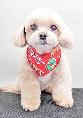 永濱サラちゃん