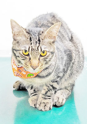 松尾レオンちゃん