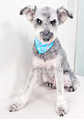 西野来斗ちゃん