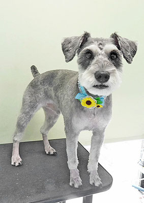 宮下リンクちゃん