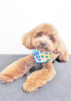 坂元むぎちゃん