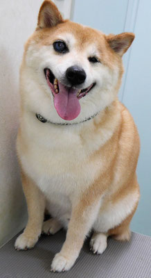 竹崎クウちゃん