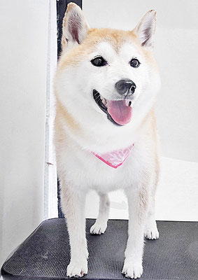 小村ゆずちゃん