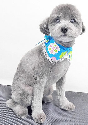 菅原そらちゃん