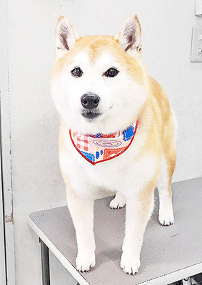 小村ゆずちゃん