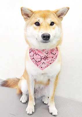 玖須ルビーちゃん