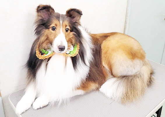 國生レイラちゃん