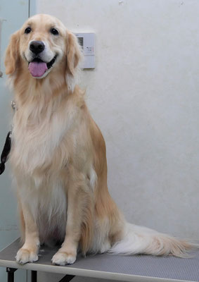 美代ジューンちゃん