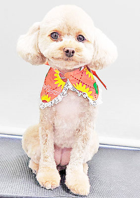 岩元ナノちゃん