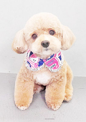 丸山小琴ちゃん