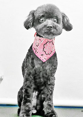 里山こころちゃん