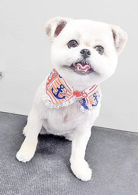 太崎ちゅらちゃん