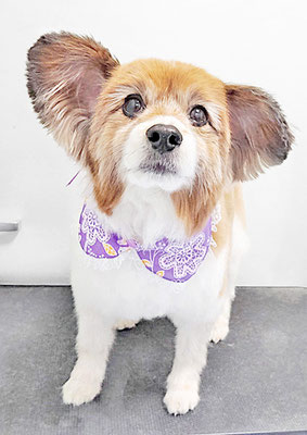 玉利ゆずちゃん