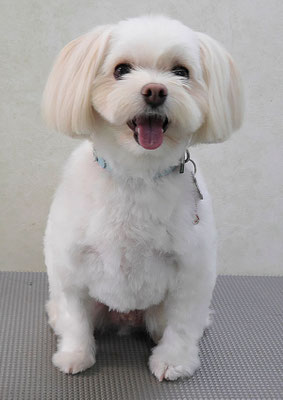 大脇ココアちゃん