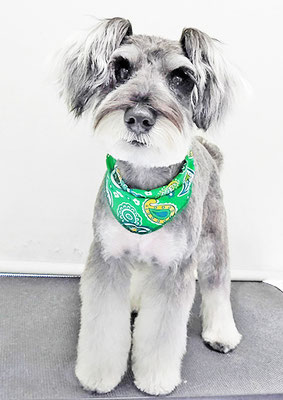 糸山そらちゃん