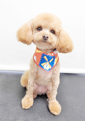 岩元ナノちゃん