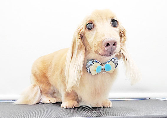 前薗パルちゃん