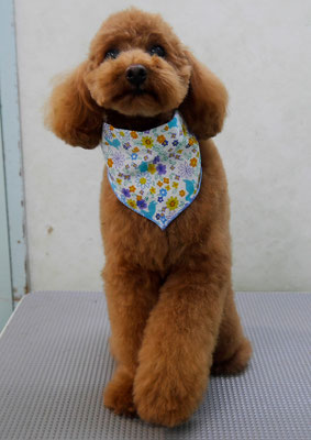 森田諭吉ちゃん