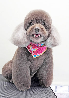 山口クレアちゃん