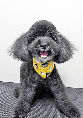 中井ヒナちゃん