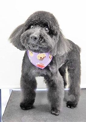 上村エイトちゃん