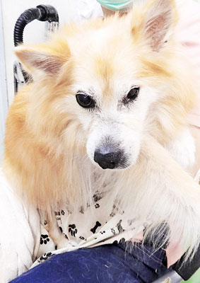 村松ゴンちゃん