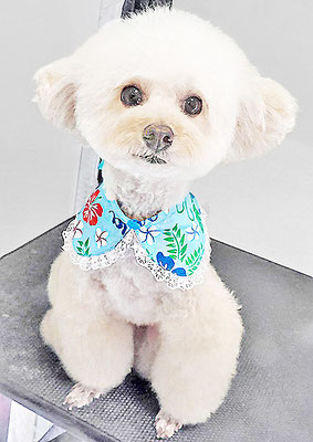 山村レオンちゃん