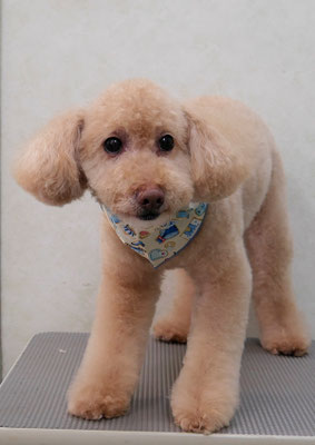 奥平モズクちゃん