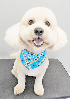 有村ルークちゃん