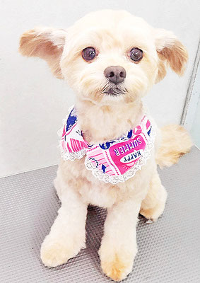 髙田パトラちゃん