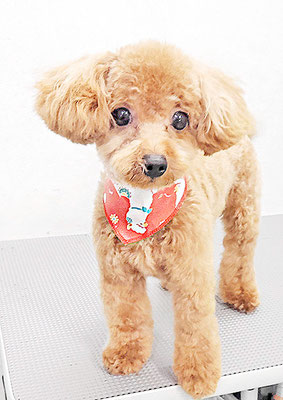 本山ミントちゃん